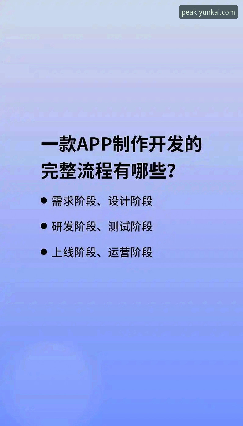 云开官方网站使用体验：从下载到安装的实用指南